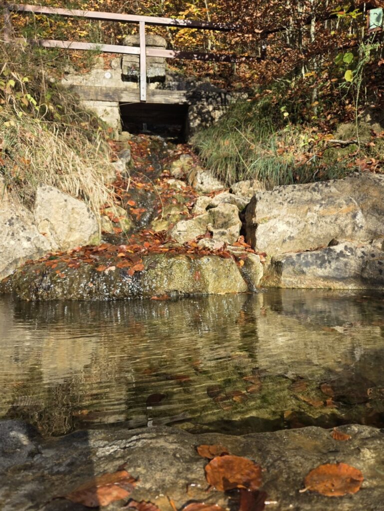 Raschpetzer10 769x1024