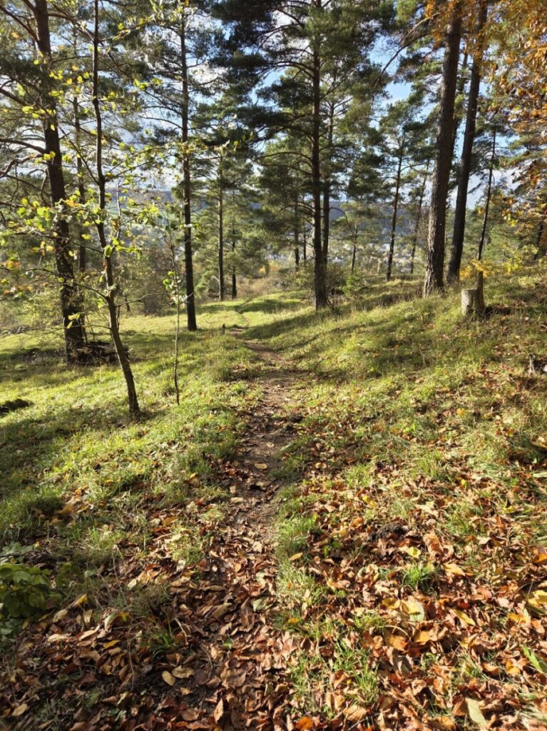 Raschpetzer2 767x1024