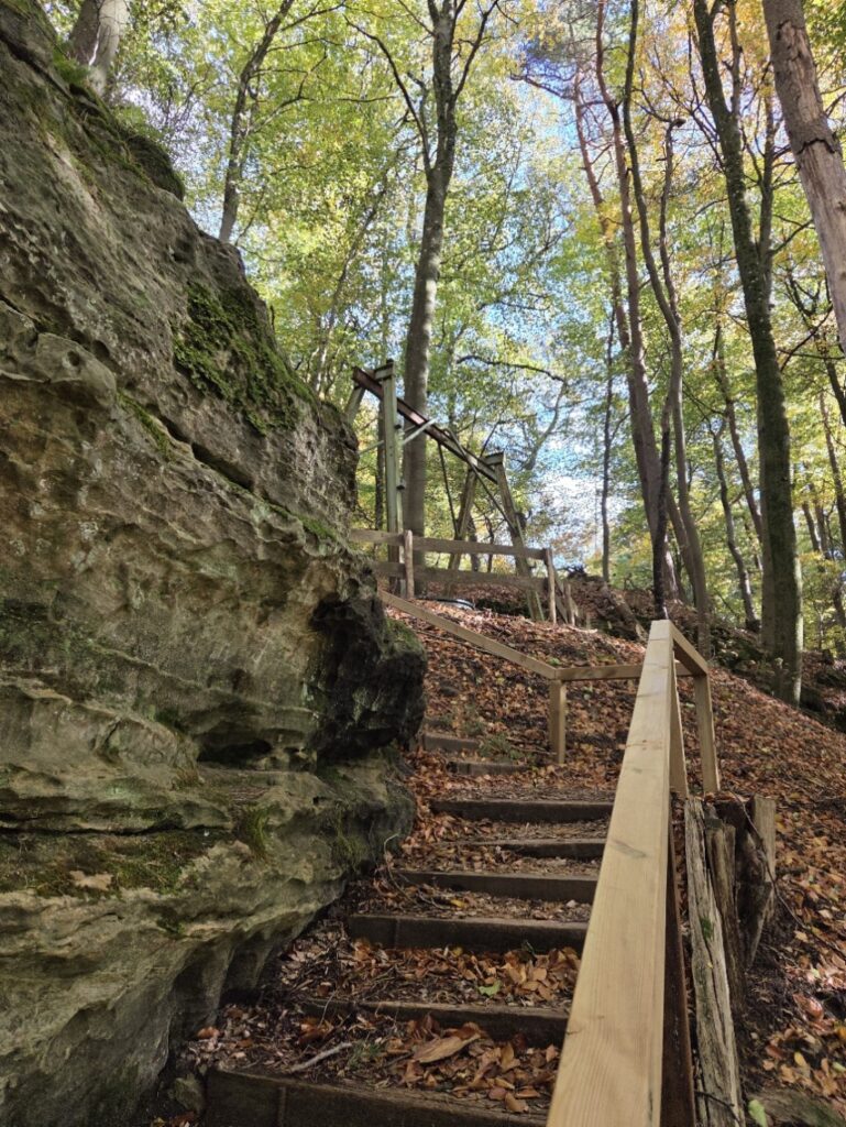 Raschpetzer5 769x1024