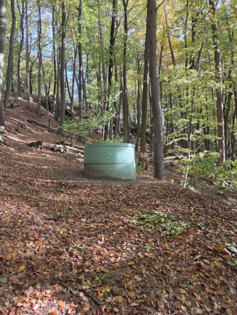 Raschpetzer7 769x1024